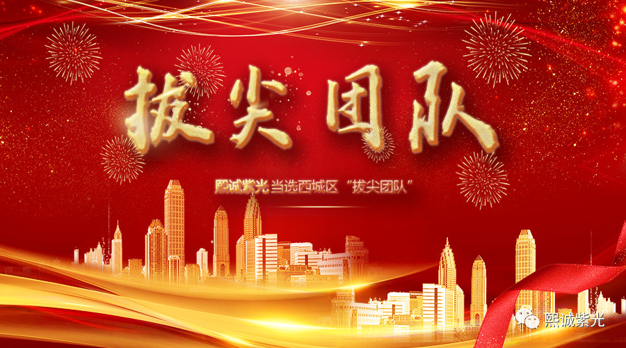 “拔尖團(tuán)隊(duì)”！就是熙誠(chéng)紫光